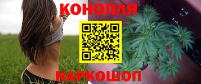 Альфа ПВП Гусев