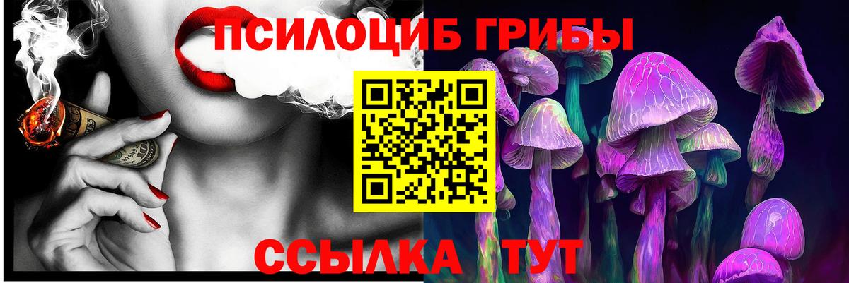 наркота  Псилоцибиновые грибы GOLDEN TEACHER  Тюмень  Вход с VPN  Псилоцибиновые грибы Psilocybine cubensis 